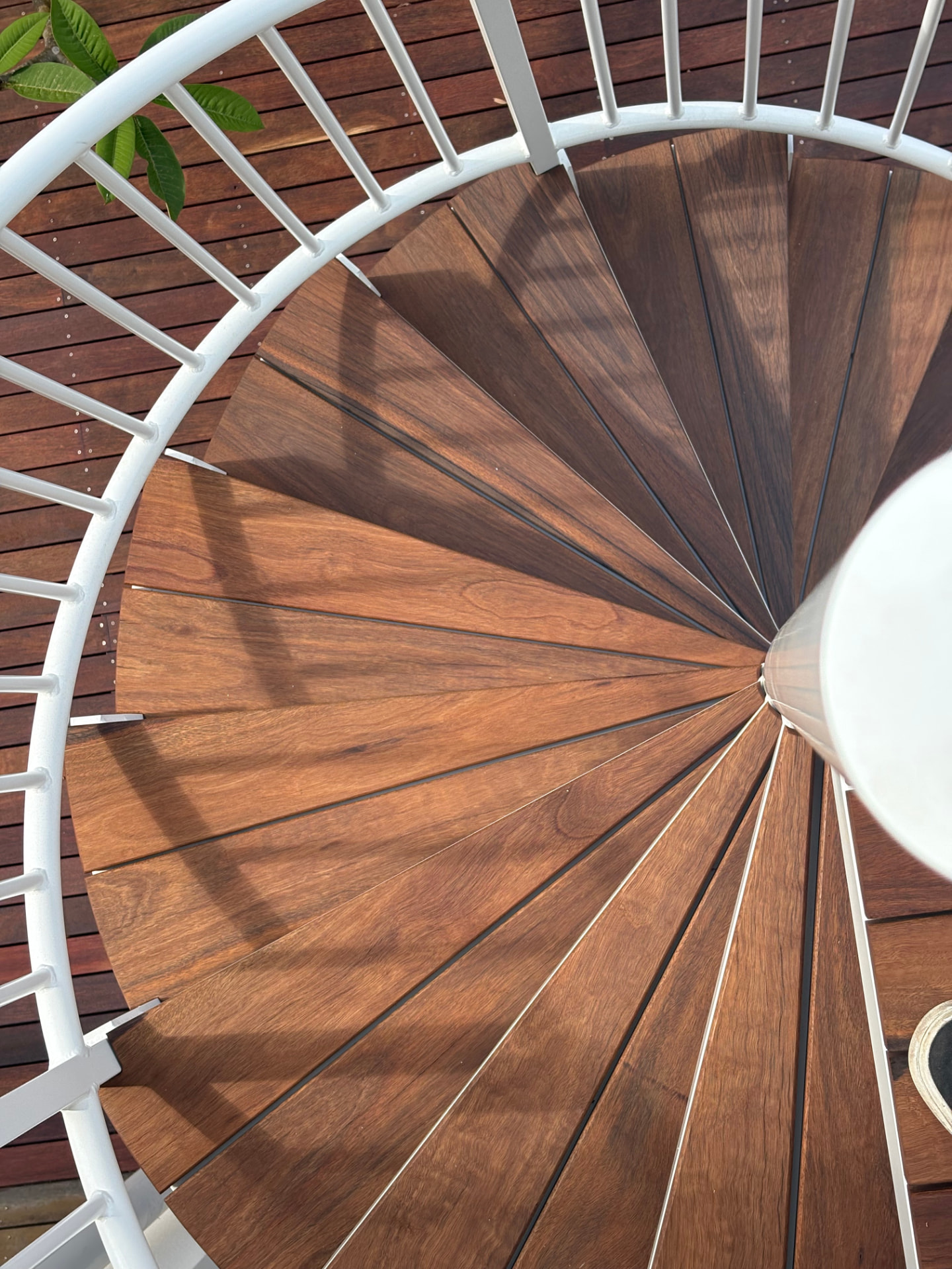 Looking down on the bespoke spiral staircase with hardwood treads at Oodgeroo Gardens