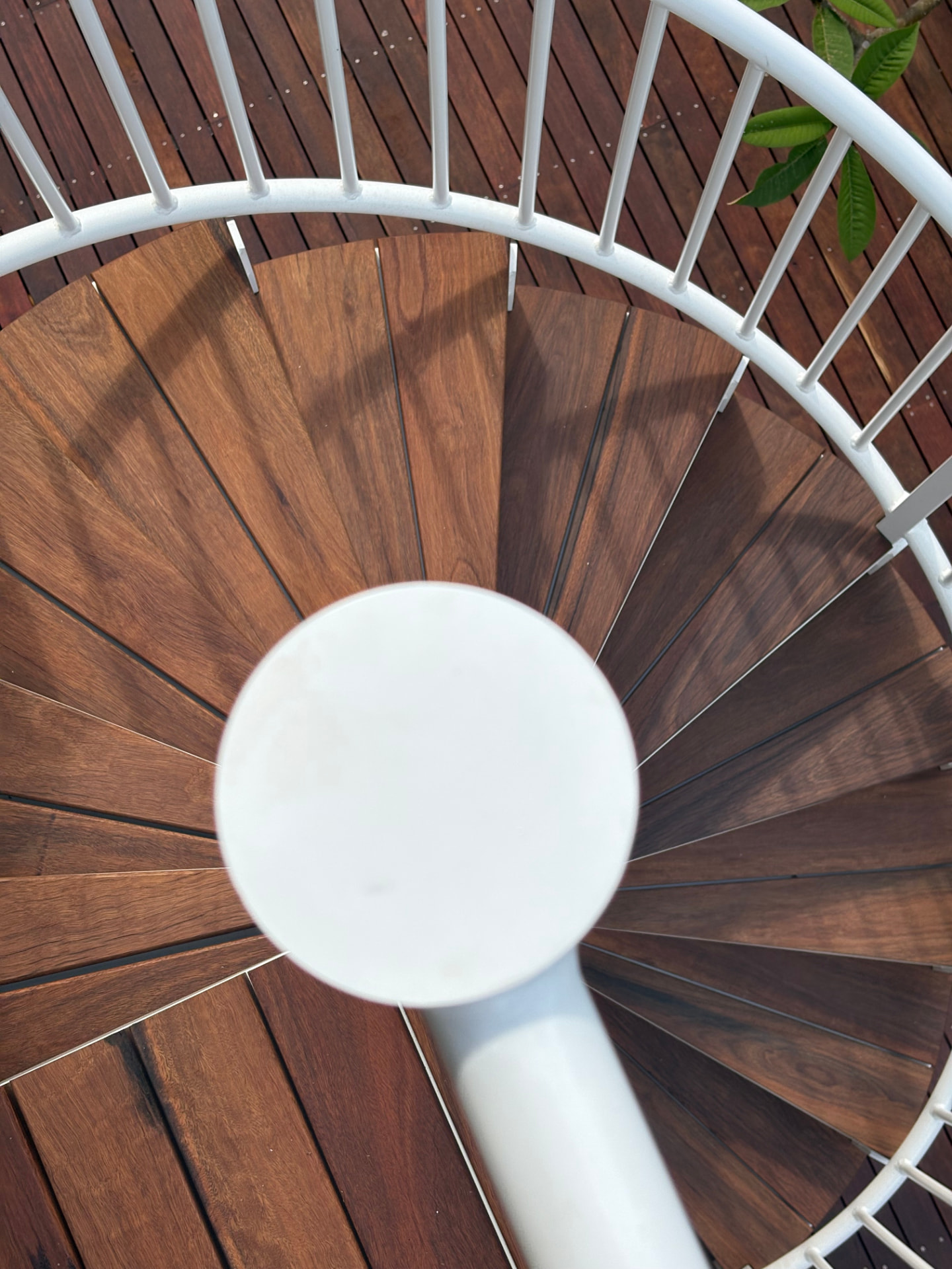 Bespoke spiral stair with hardwood treads seen from above